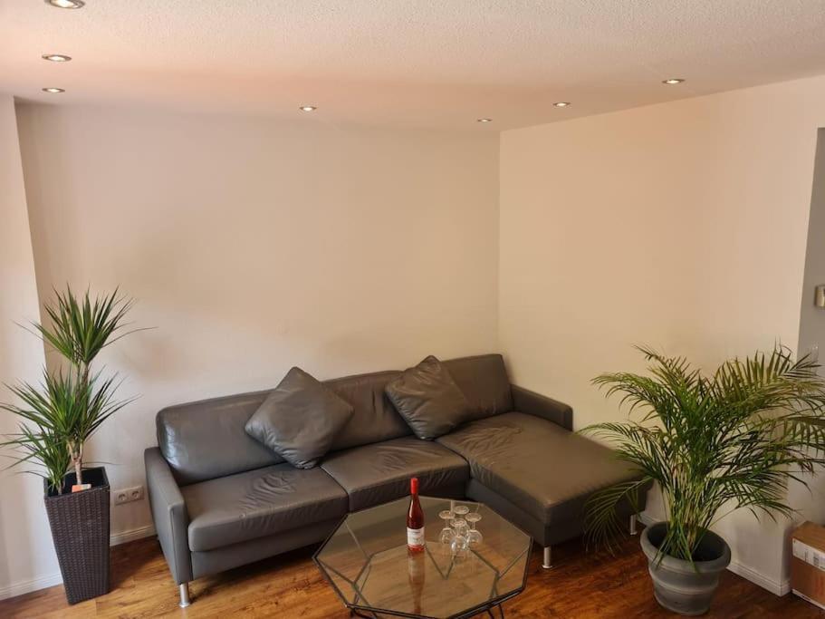 Appartement Ein Zuhause Mit Schonem Garten à Bonn Extérieur photo